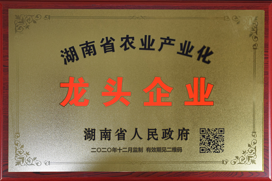 龍頭企業