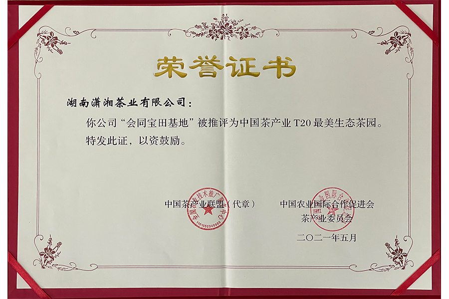 全國茶產業T20最美生態茶園